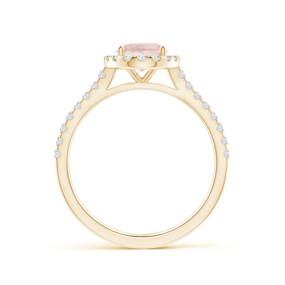 8x6mm AA Oval Morganite Halo Ring with Diamond Accents in Yellow Gold side 199