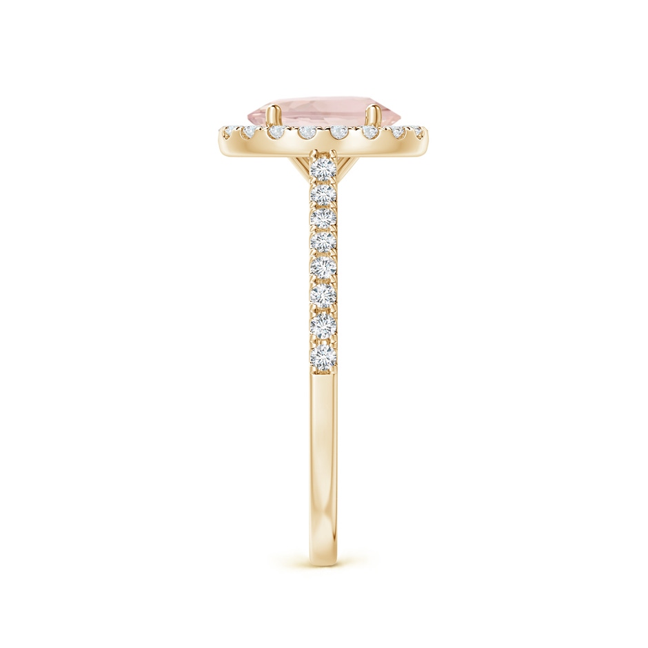 8x6mm AA Oval Morganite Halo Ring with Diamond Accents in Yellow Gold side 299