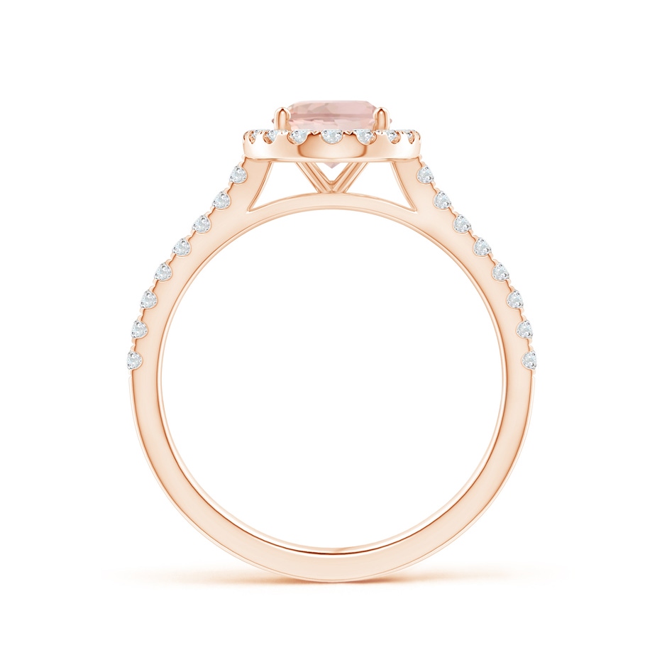 8x6mm AAA Oval Morganite Halo Ring with Diamond Accents in Rose Gold side 199