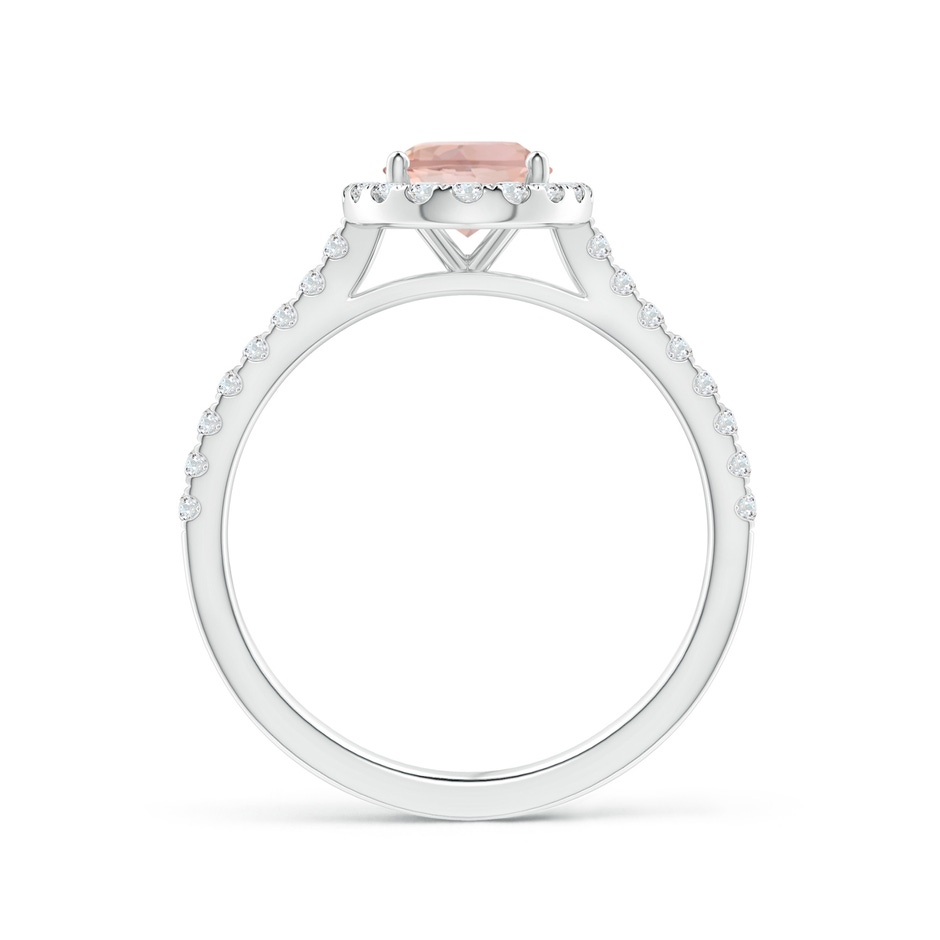 8x6mm AAAA Oval Morganite Halo Ring with Diamond Accents in P950 Platinum side 199