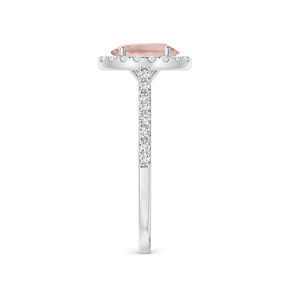 8x6mm AAAA Oval Morganite Halo Ring with Diamond Accents in P950 Platinum side 299