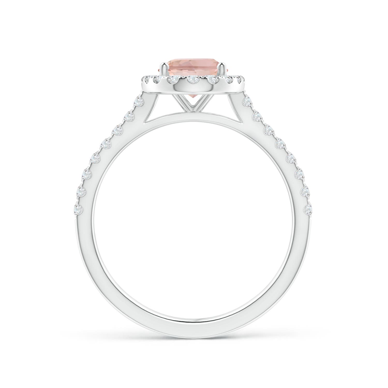 AAAA - Morganite / 1.44 CT / 14 KT White Gold