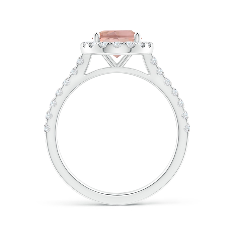 9x7mm AAAA Oval Morganite Halo Ring with Diamond Accents in P950 Platinum side 199