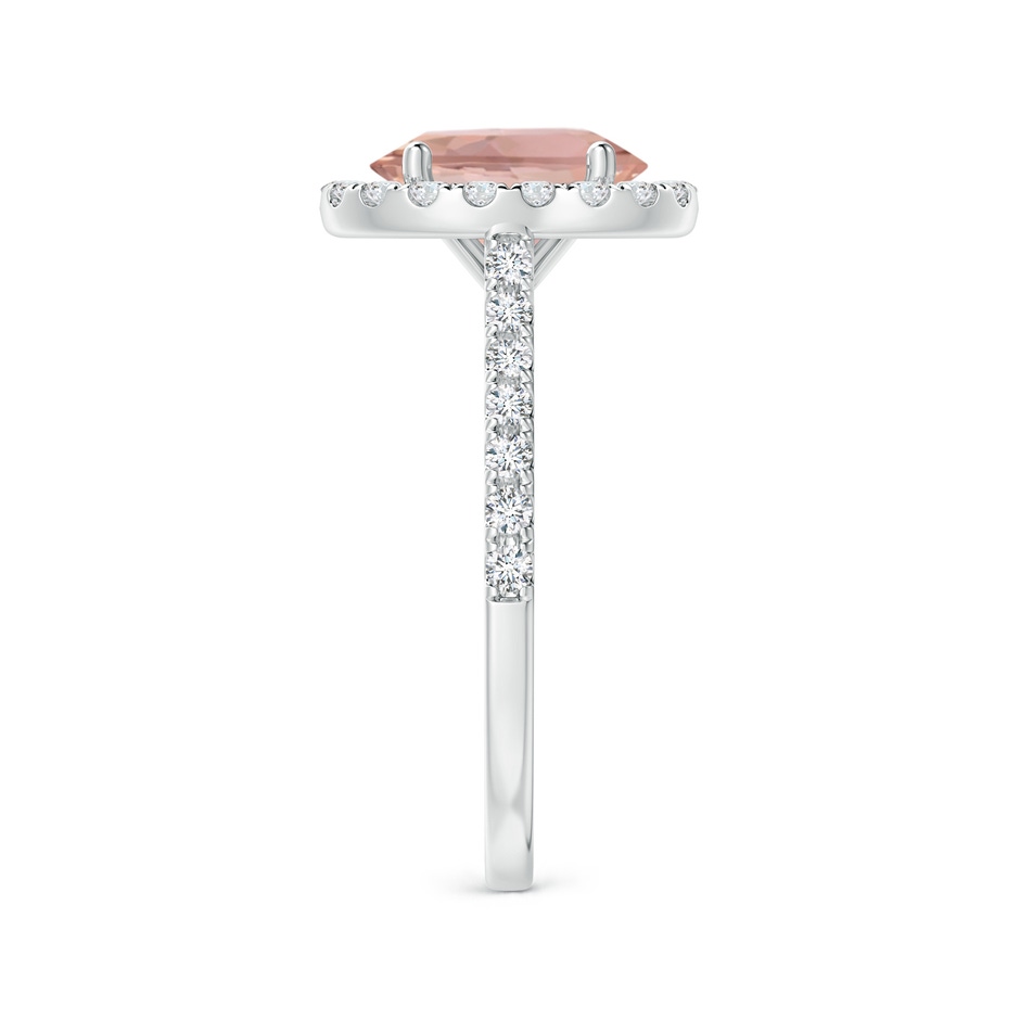 9x7mm AAAA Oval Morganite Halo Ring with Diamond Accents in P950 Platinum side 299