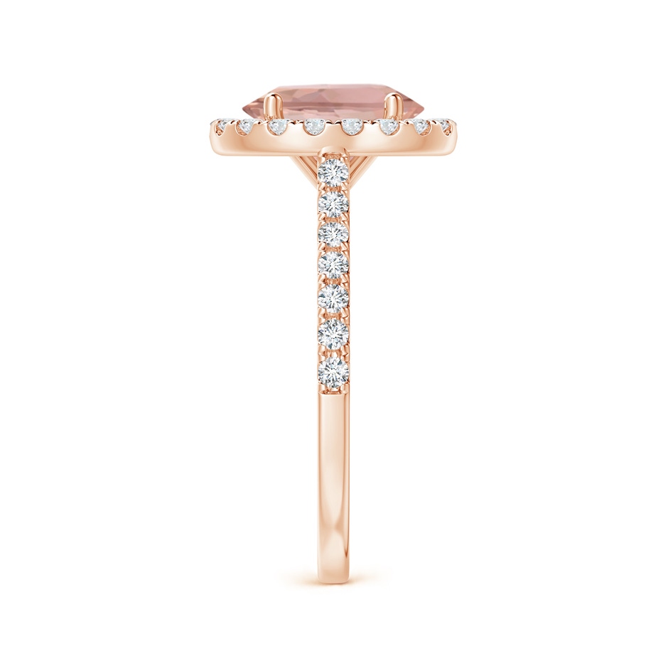 9x7mm AAAA Oval Morganite Halo Ring with Diamond Accents in Rose Gold side 299