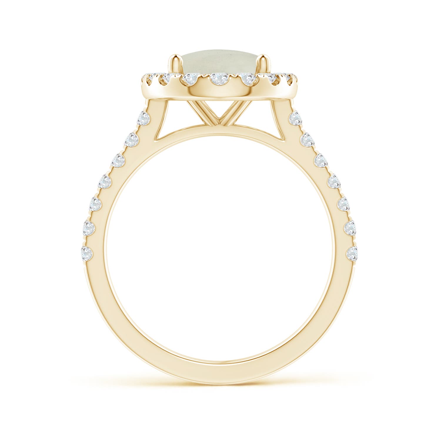 AA - Moonstone / 3.17 CT / 14 KT Yellow Gold