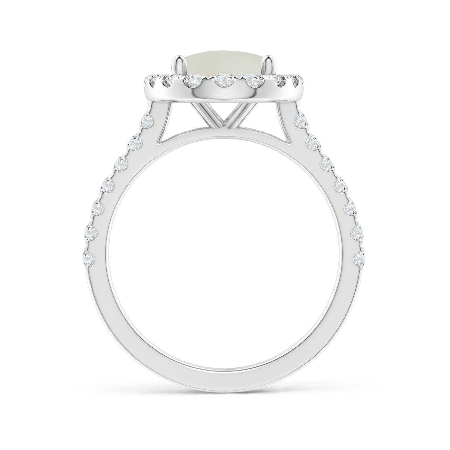 AAA - Moonstone / 3.17 CT / 14 KT White Gold