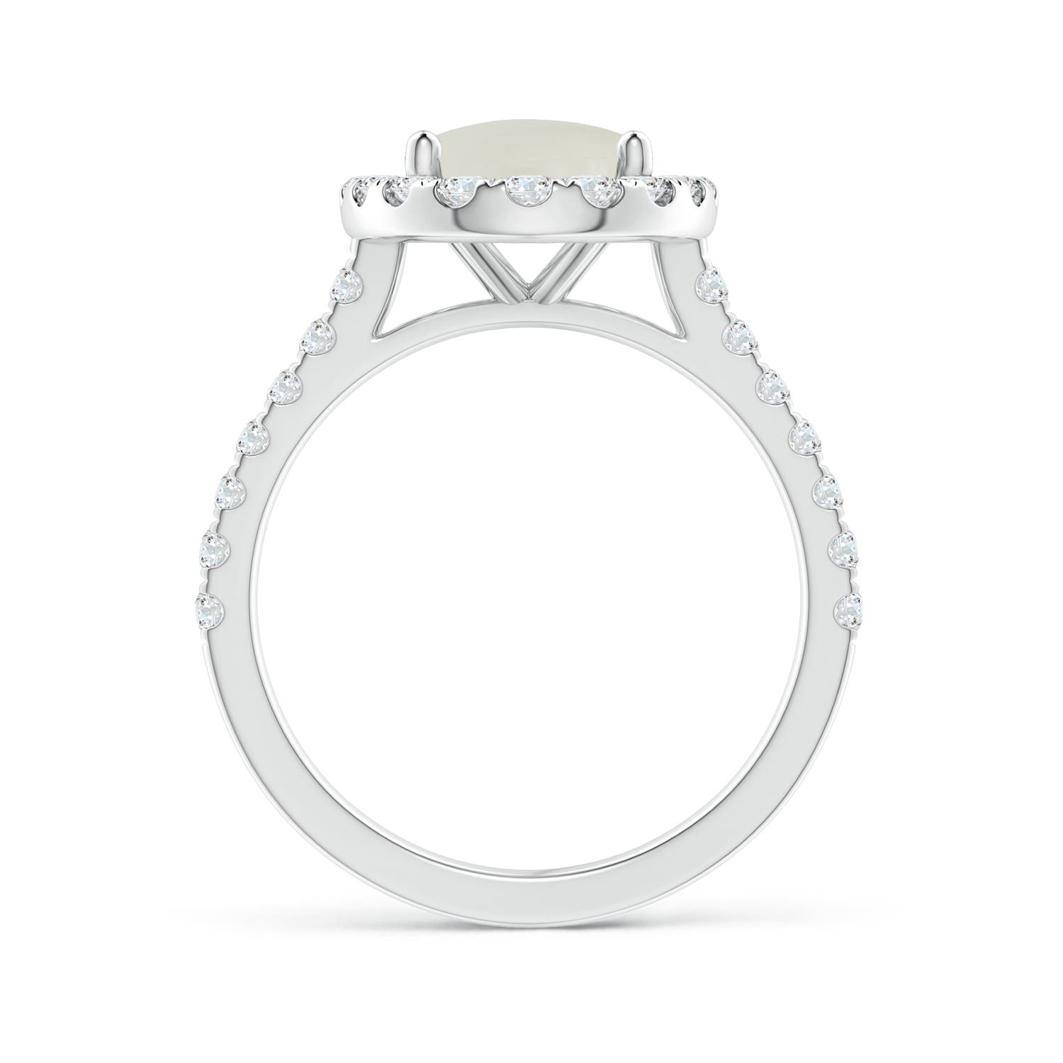 AAAA - Moonstone / 3.17 CT / 14 KT White Gold