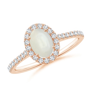 7x5mm AAAA Oval Moonstone Halo Ring with Diamond Accents in 9K Rose Gold