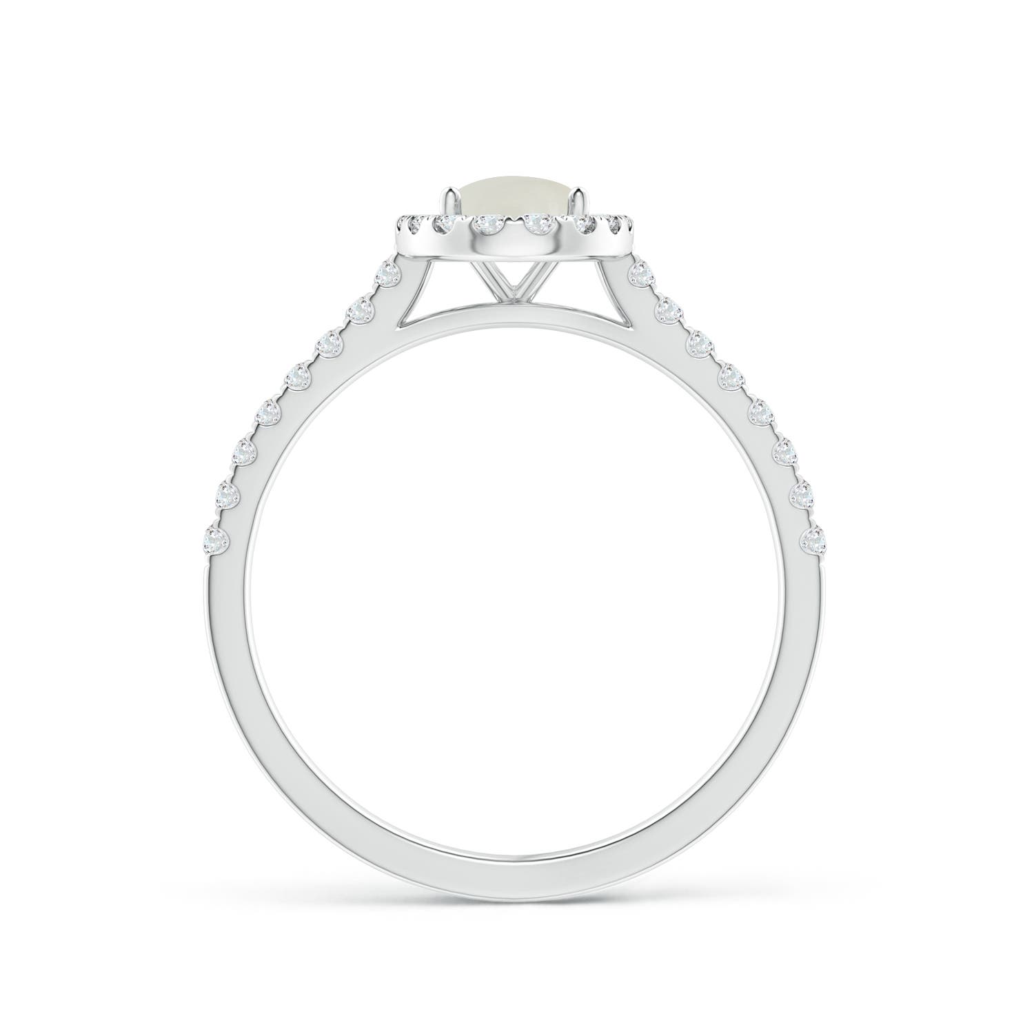 AAAA - Moonstone / 0.94 CT / 14 KT White Gold