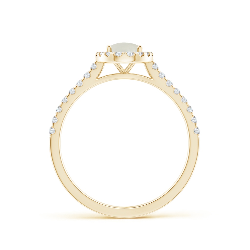 7x5mm AAAA Oval Moonstone Halo Ring with Diamond Accents in Yellow Gold Side-1