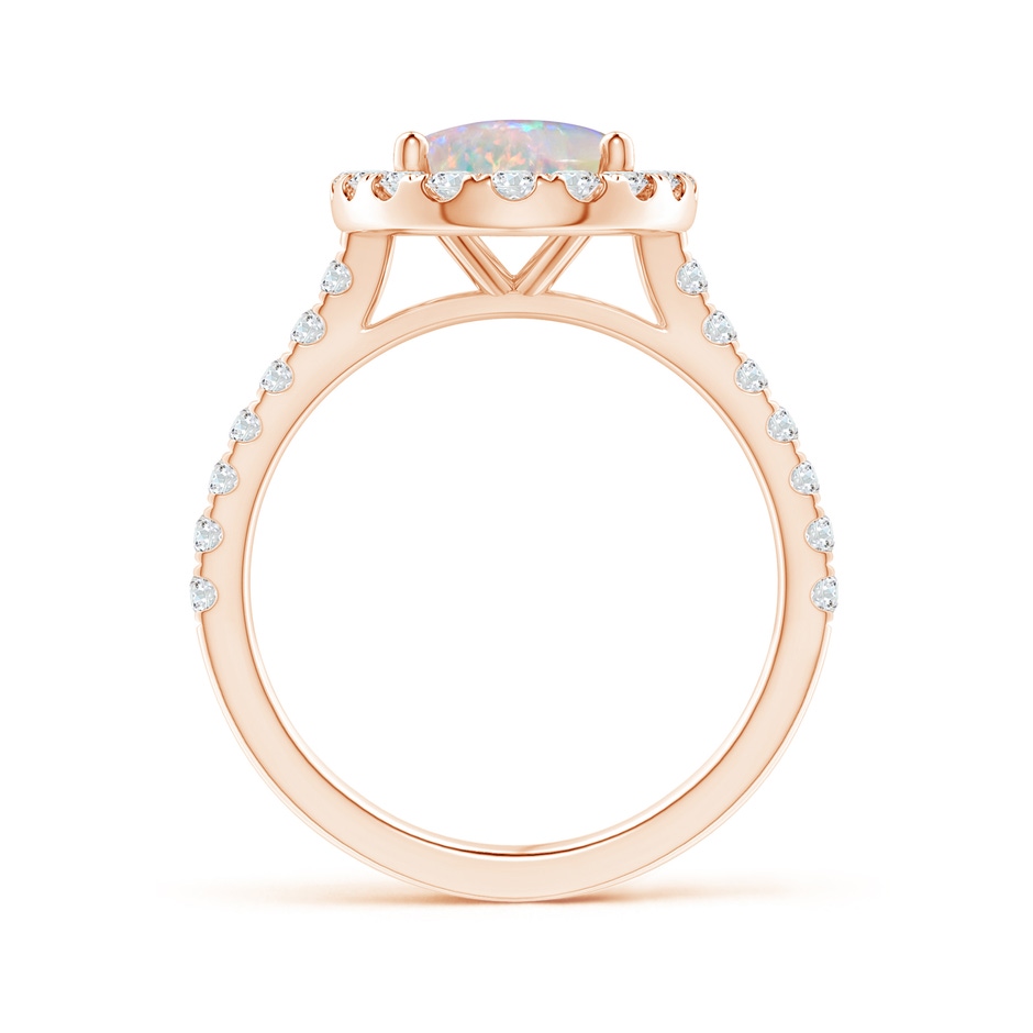10x8mm AAAA Prong-Set Oval Opal Halo Ring with Diamond Accents in 18K Rose Gold side 199