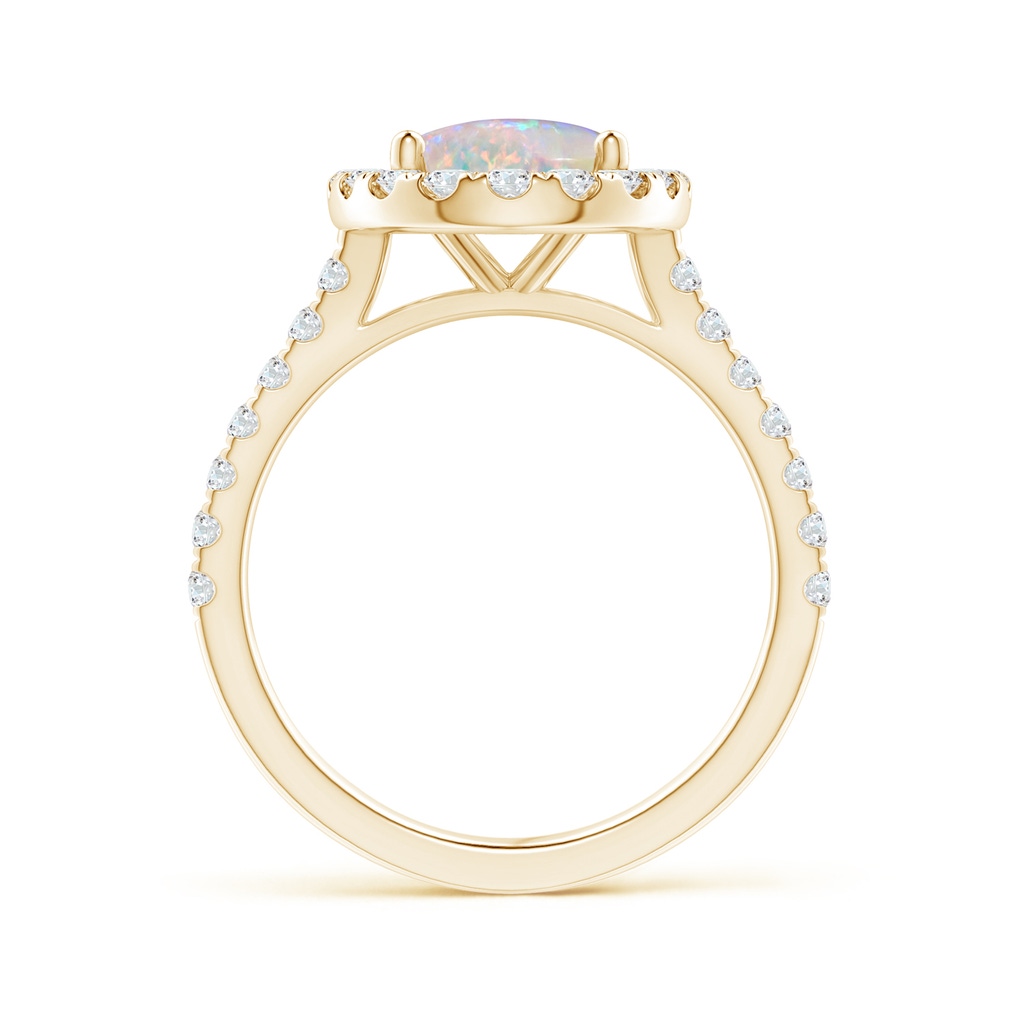 10x8mm AAAA Oval Opal Halo Ring with Diamond Accents in Yellow Gold Side-1