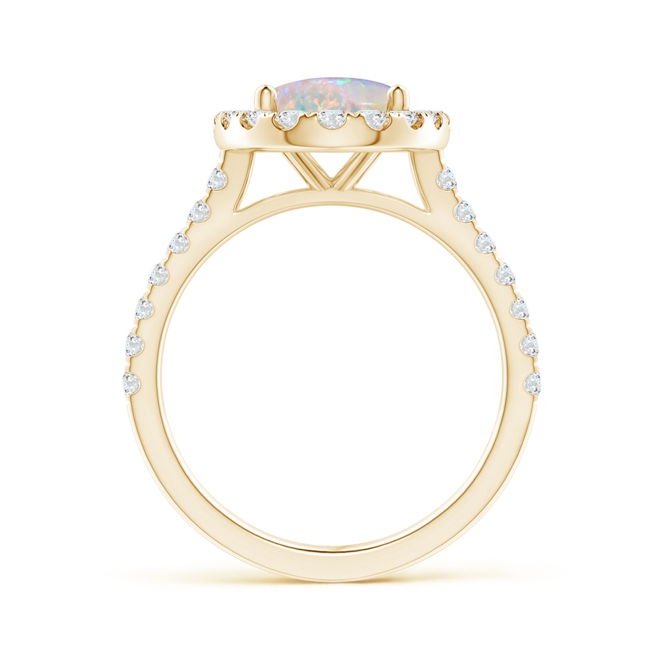 10x8mm AAAA Prong-Set Oval Opal Halo Ring with Diamond Accents in Yellow Gold side 199