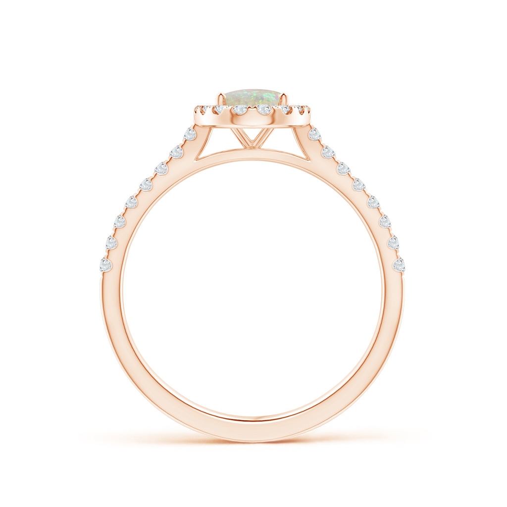 7x5mm AAA Oval Opal Halo Ring with Diamond Accents in Rose Gold Side-1