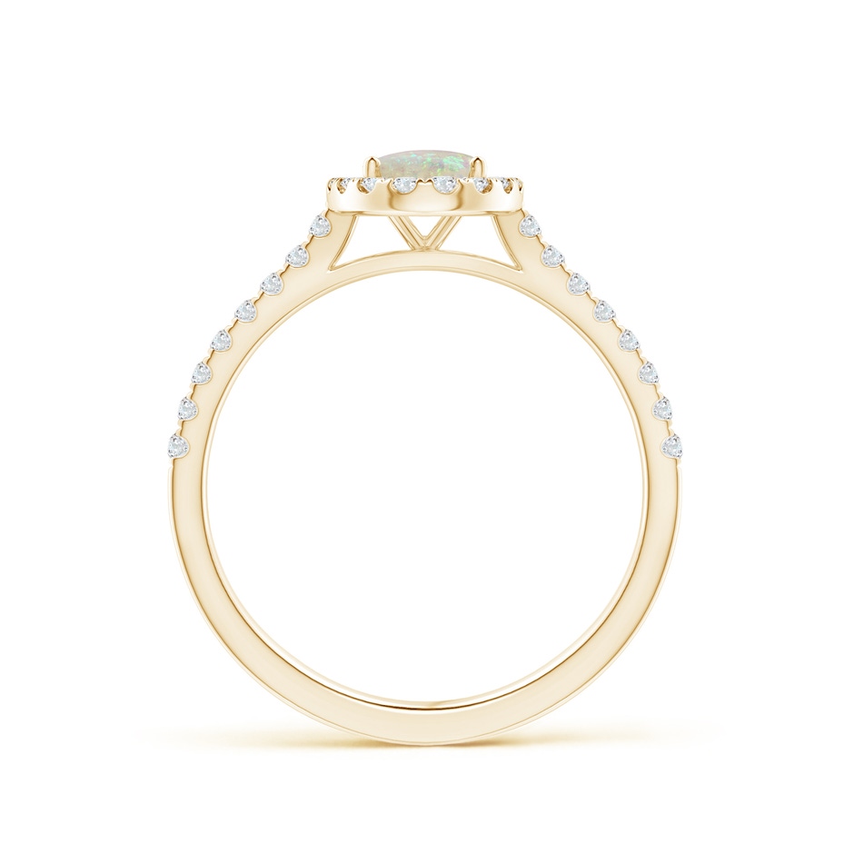 7x5mm AAA Prong-Set Oval Opal Halo Ring with Diamond Accents in Yellow Gold side 199