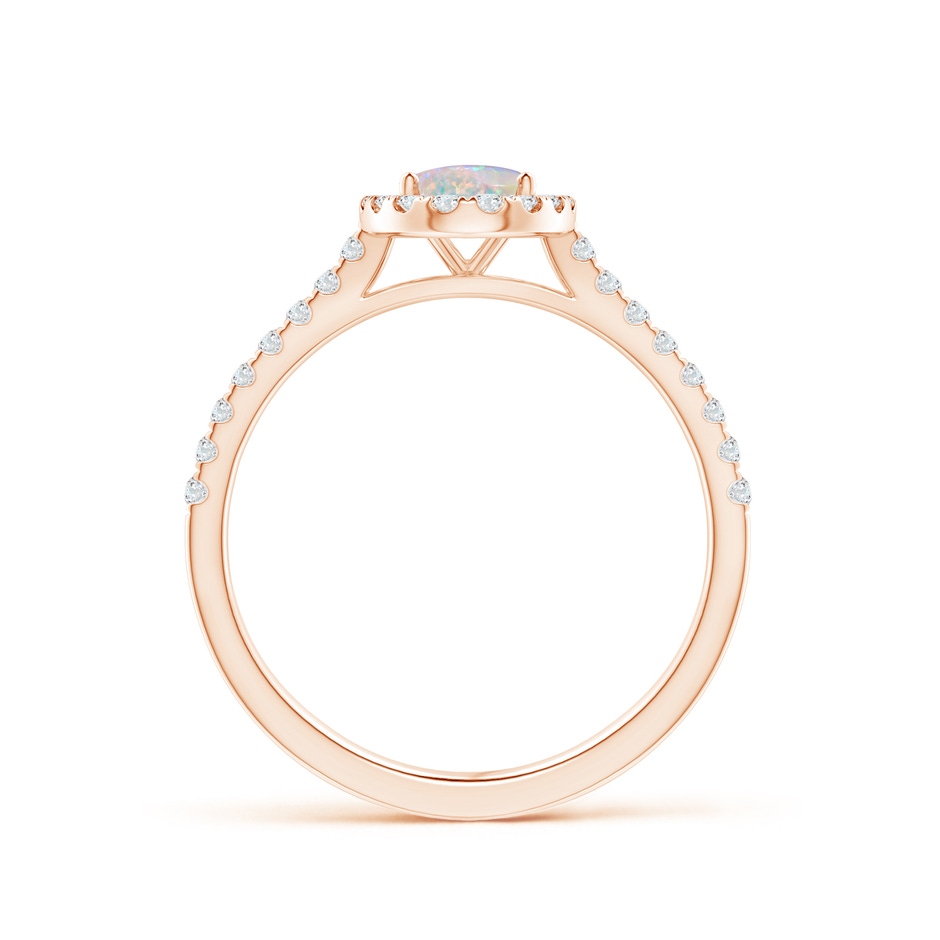 7x5mm AAAA Prong-Set Oval Opal Halo Ring with Diamond Accents in 9K Rose Gold side 199