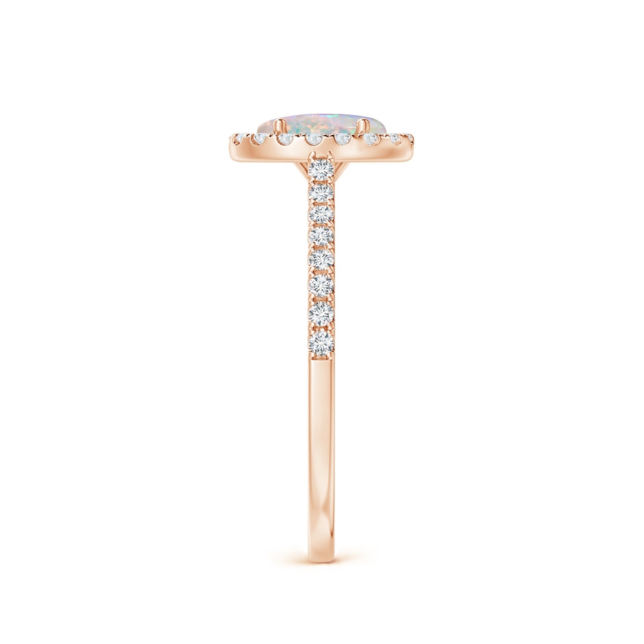 7x5mm AAAA Prong-Set Oval Opal Halo Ring with Diamond Accents in 9K Rose Gold side 299