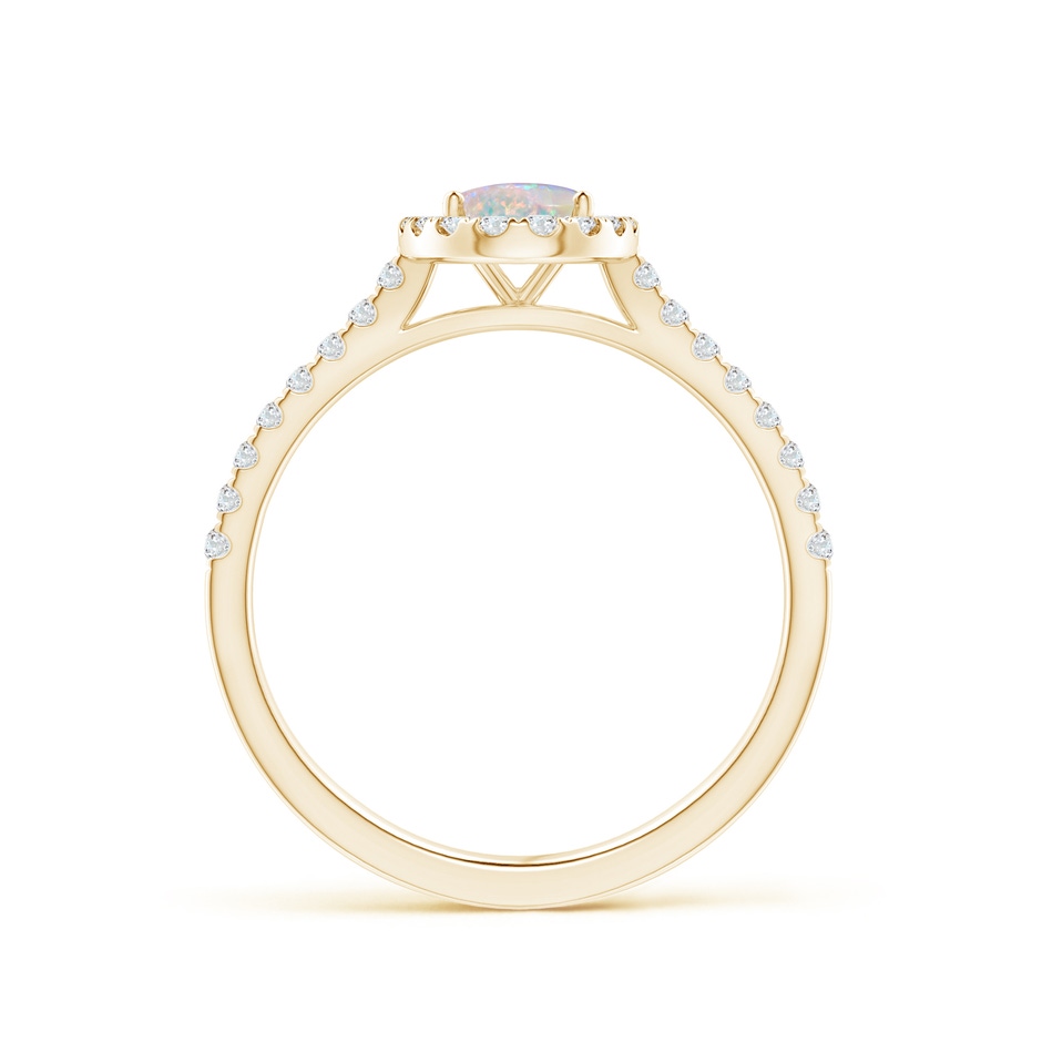 7x5mm AAAA Prong-Set Oval Opal Halo Ring with Diamond Accents in 9K Yellow Gold side 199