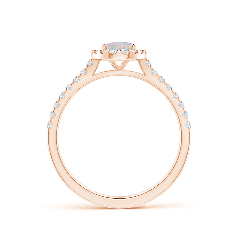 7x5mm AAAA Oval Opal Halo Ring with Diamond Accents in Rose Gold side-1