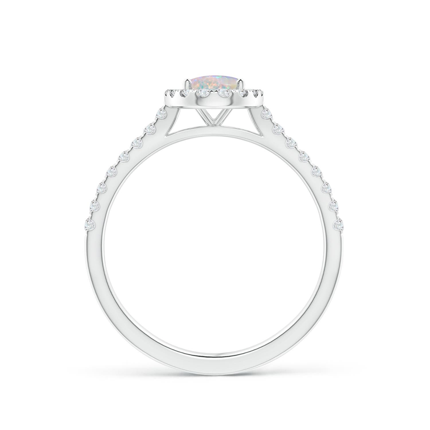 AAAA - Opal / 0.71 CT / 14 KT White Gold