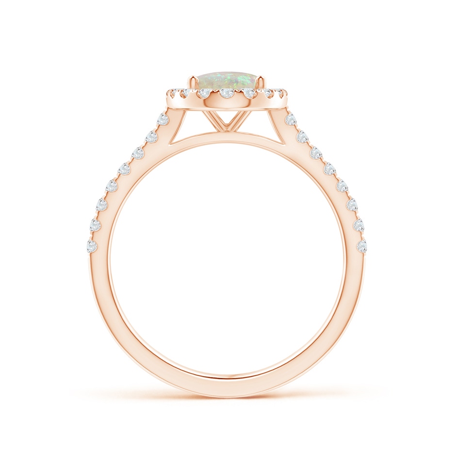 8x6mm AAA Prong-Set Oval Opal Halo Ring with Diamond Accents in Rose Gold side 199