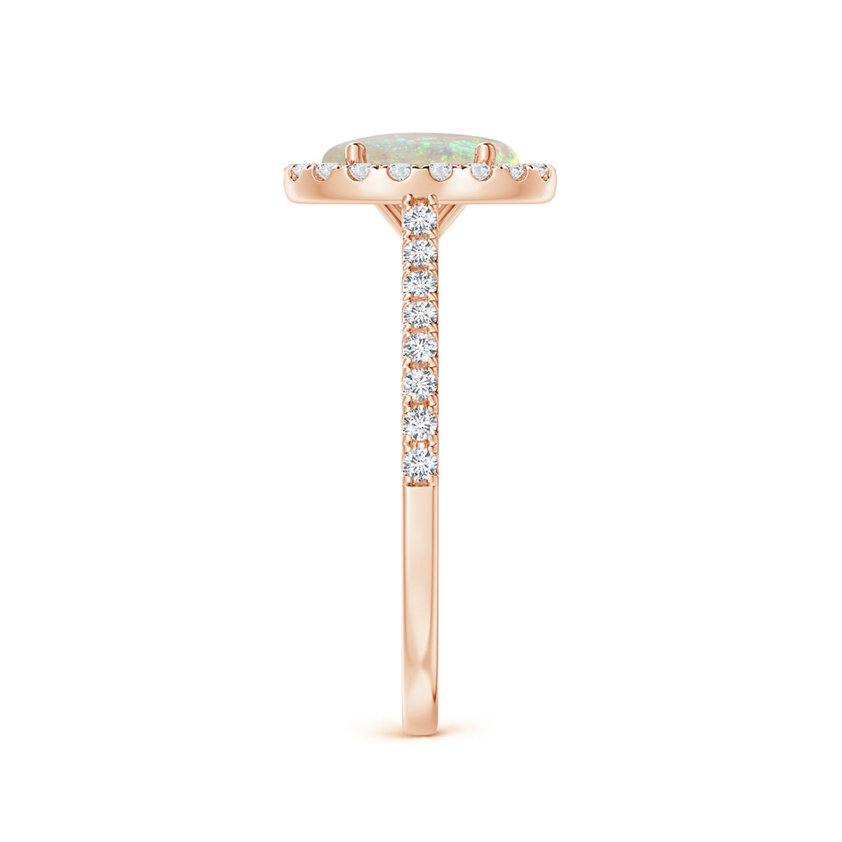 8x6mm AAA Prong-Set Oval Opal Halo Ring with Diamond Accents in Rose Gold side 299
