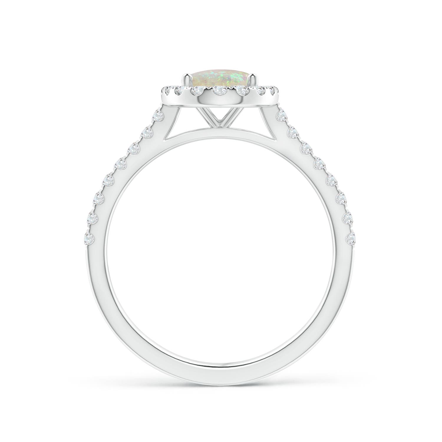 AAA - Opal / 1.14 CT / 14 KT White Gold