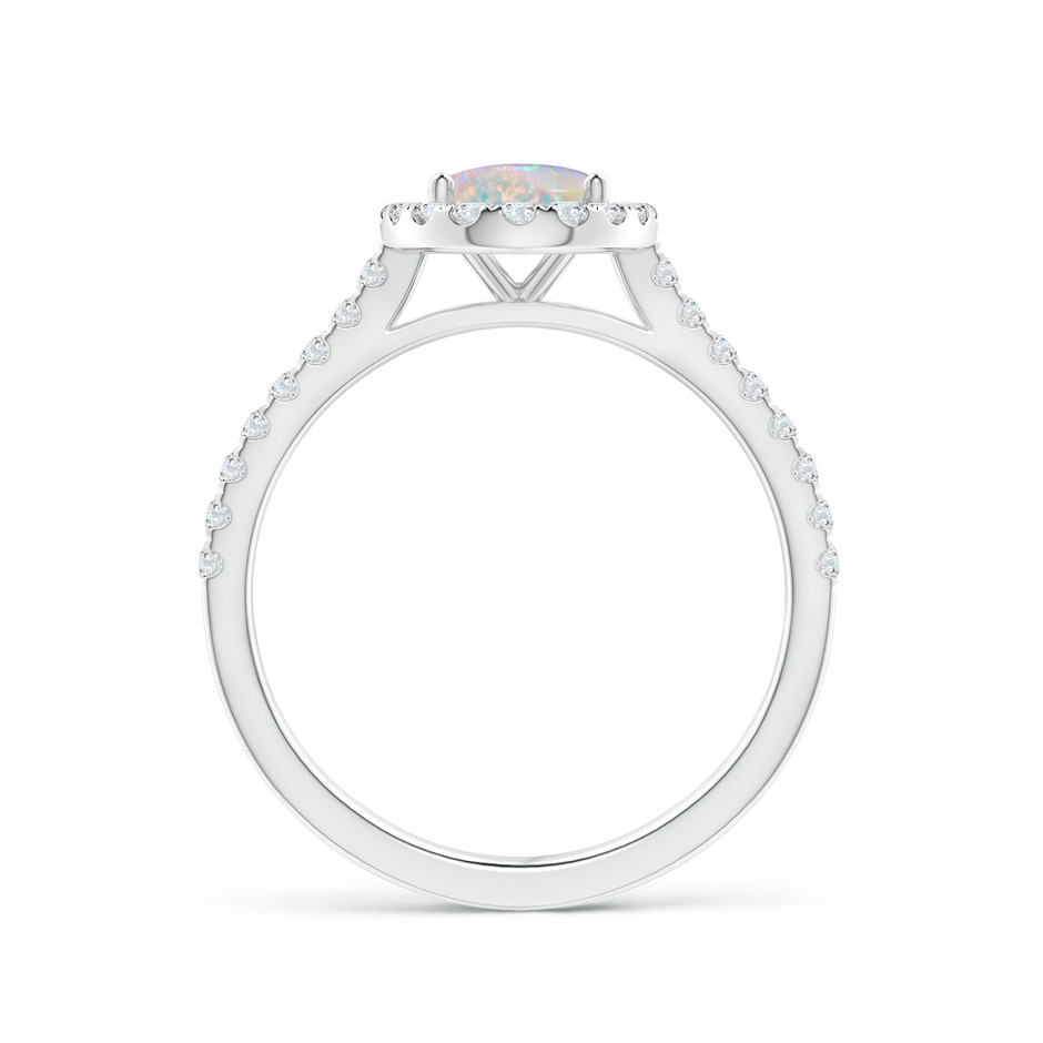 8x6mm AAAA Prong-Set Oval Opal Halo Ring with Diamond Accents in P950 Platinum side 199