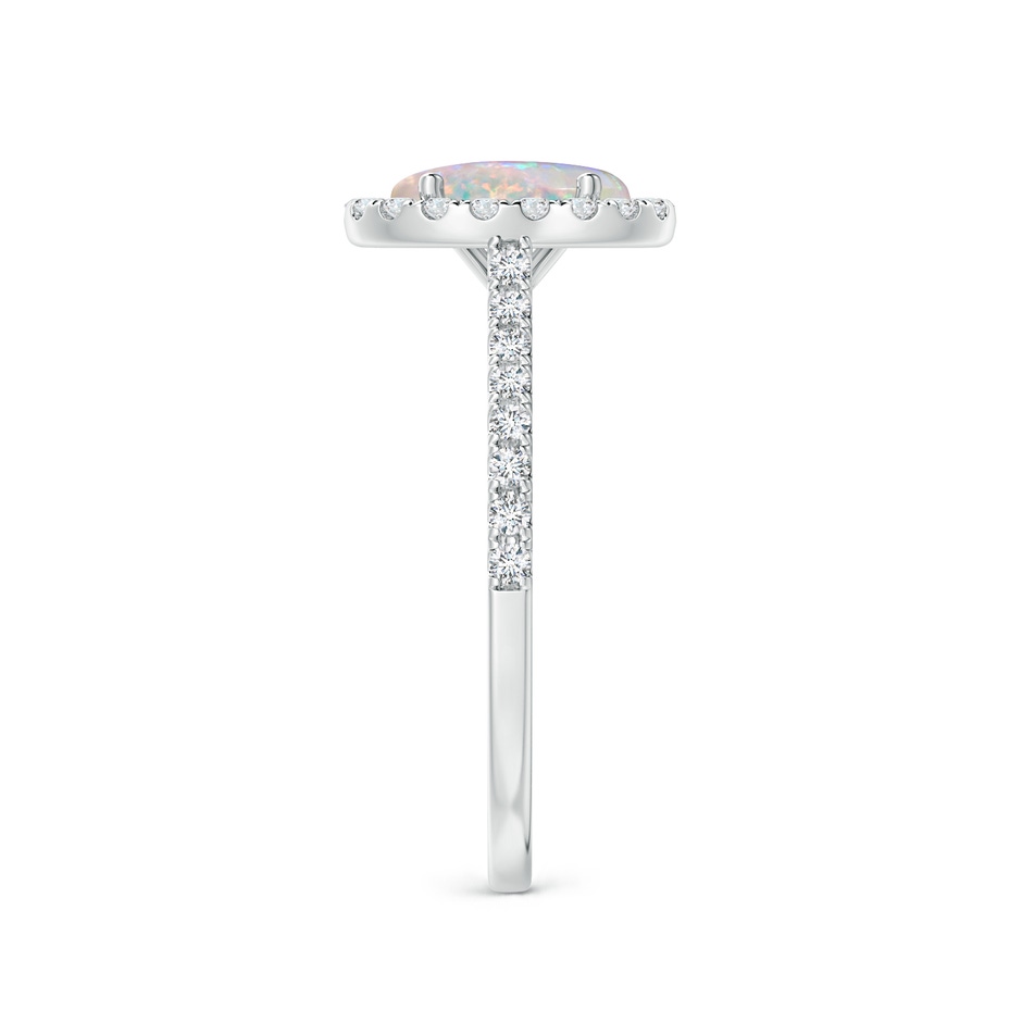 8x6mm AAAA Prong-Set Oval Opal Halo Ring with Diamond Accents in P950 Platinum side 299