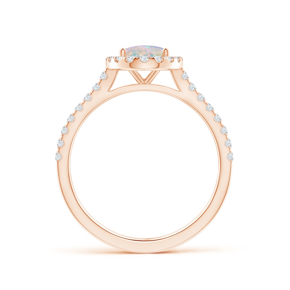 8x6mm AAAA Prong-Set Oval Opal Halo Ring with Diamond Accents in Rose Gold side 199