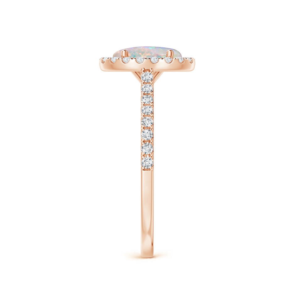 8x6mm AAAA Prong-Set Oval Opal Halo Ring with Diamond Accents in Rose Gold side 299