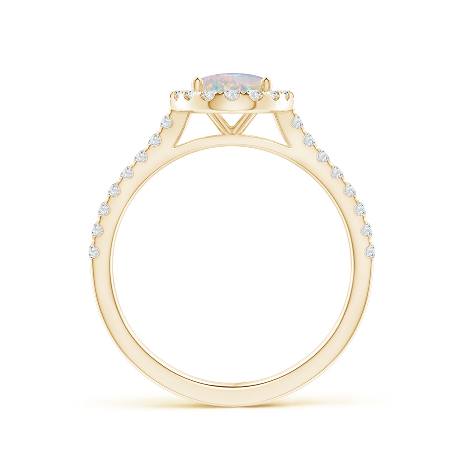 8x6mm AAAA Prong-Set Oval Opal Halo Ring with Diamond Accents in Yellow Gold side 199