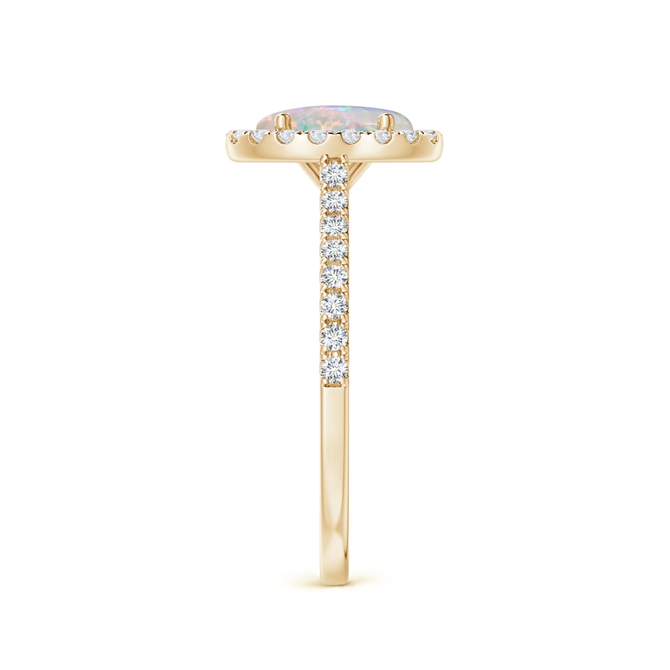 8x6mm AAAA Prong-Set Oval Opal Halo Ring with Diamond Accents in Yellow Gold side 299