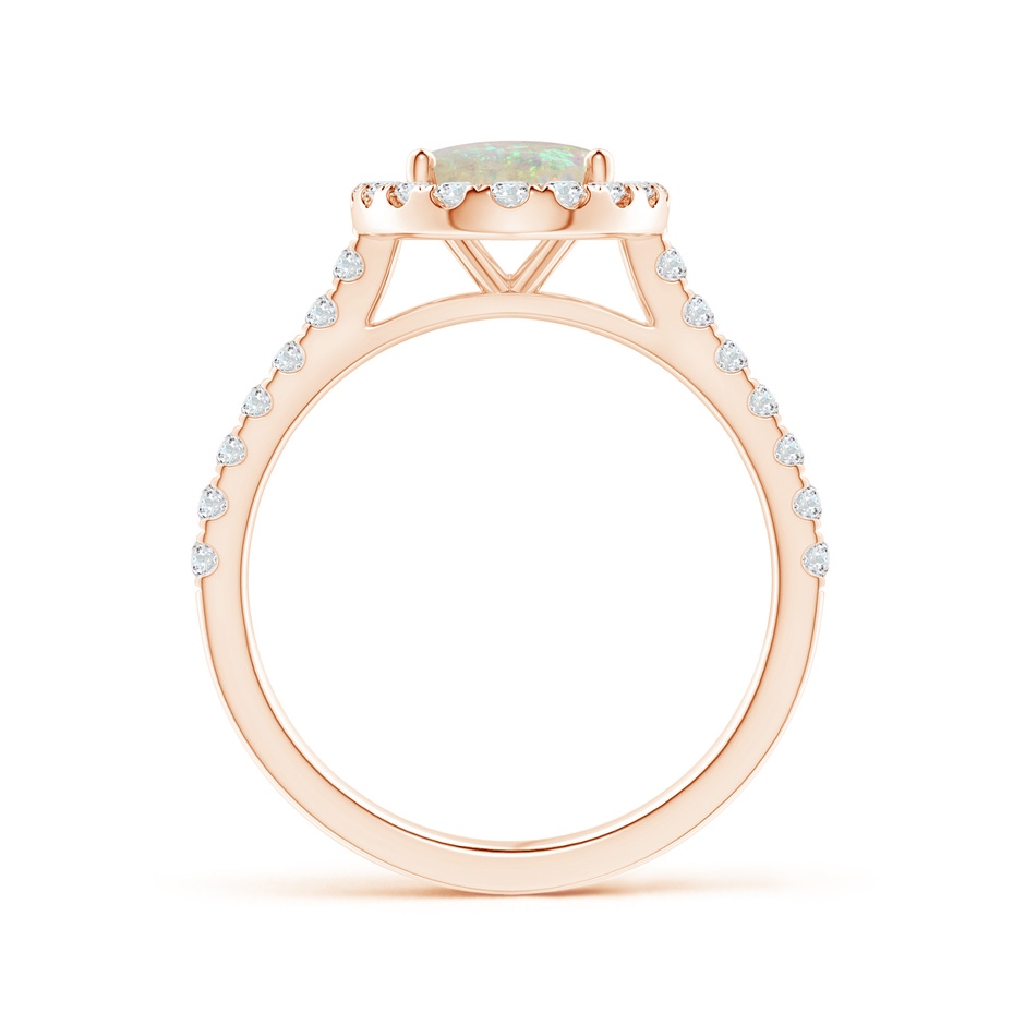 9x7mm AAA Prong-Set Oval Opal Halo Ring with Diamond Accents in Rose Gold side 199