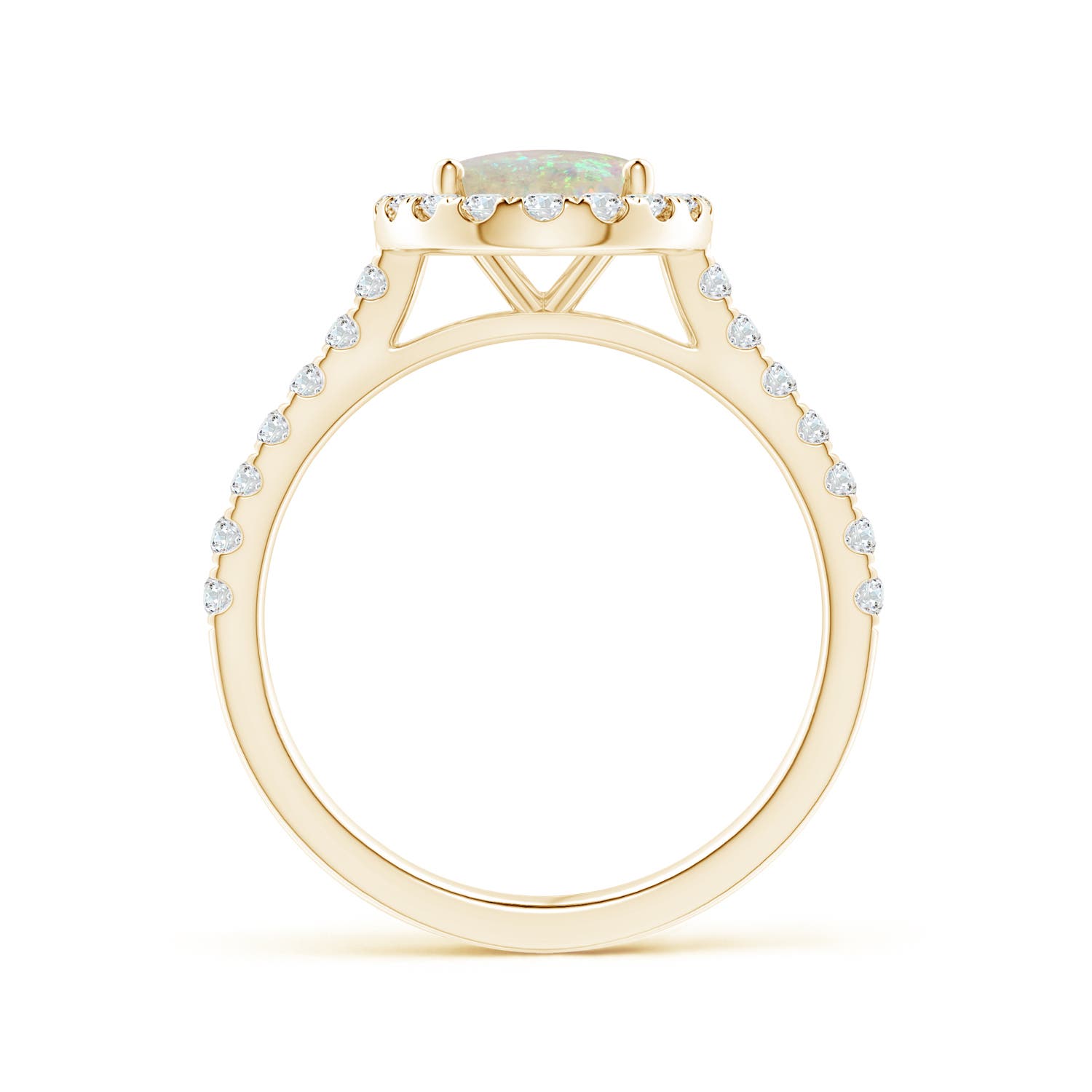 AAA - Opal / 1.55 CT / 14 KT Yellow Gold