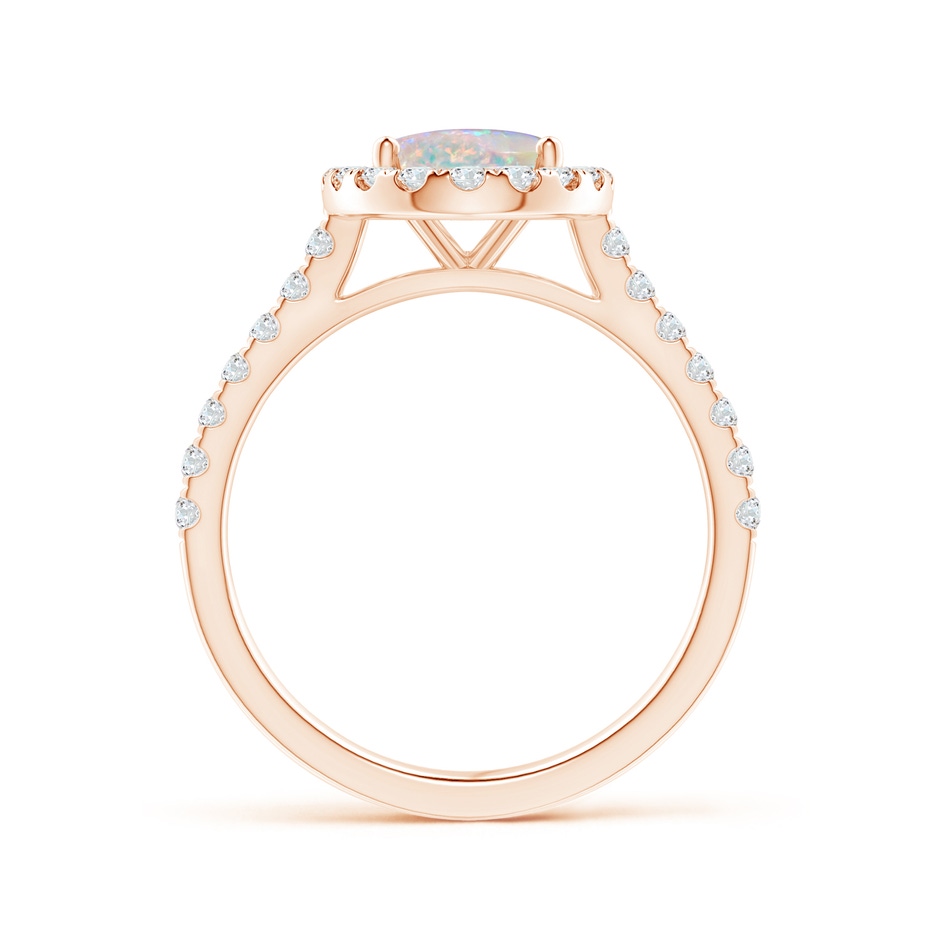 9x7mm AAAA Prong-Set Oval Opal Halo Ring with Diamond Accents in Rose Gold side 199