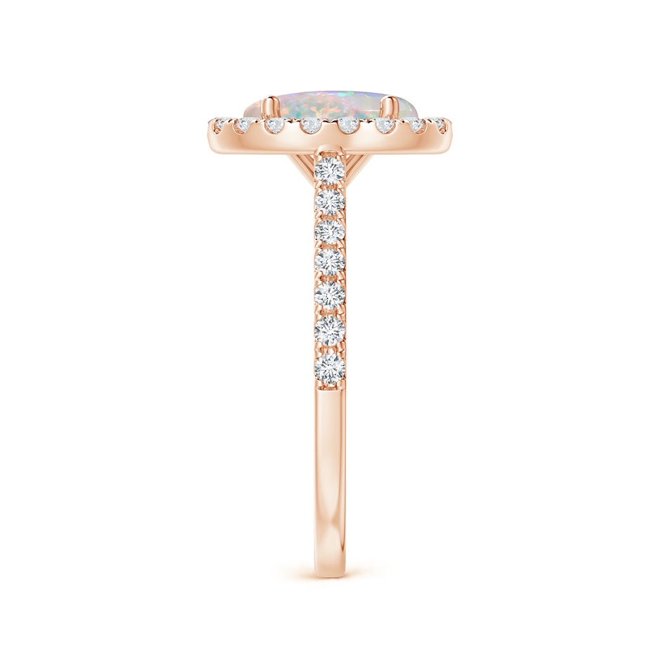 9x7mm AAAA Prong-Set Oval Opal Halo Ring with Diamond Accents in Rose Gold side 299