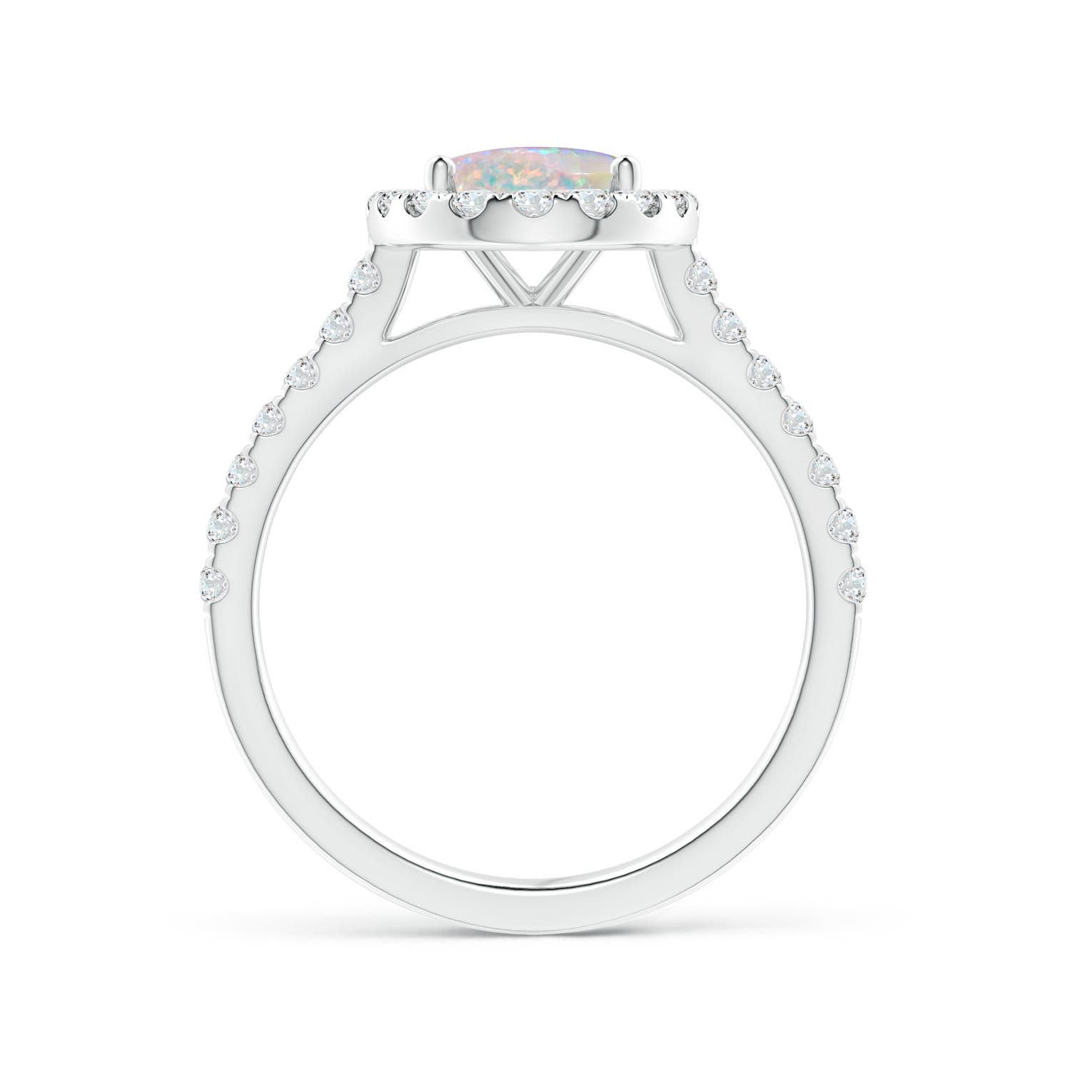 AAAA - Opal / 1.55 CT / 14 KT White Gold