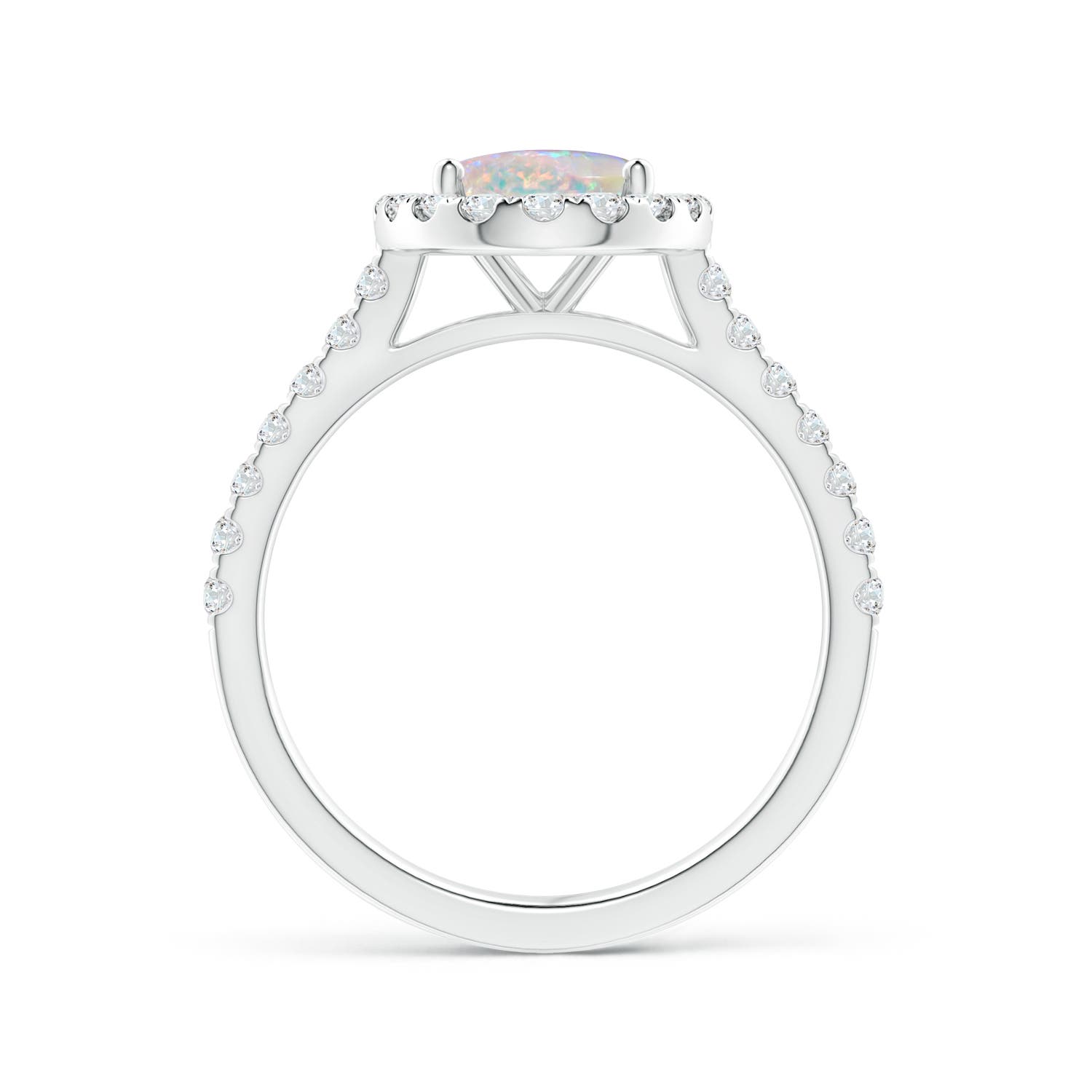 9x7mm AAAA Prong-Set Oval Opal Halo Ring with Diamond Accents in White Gold - side 3