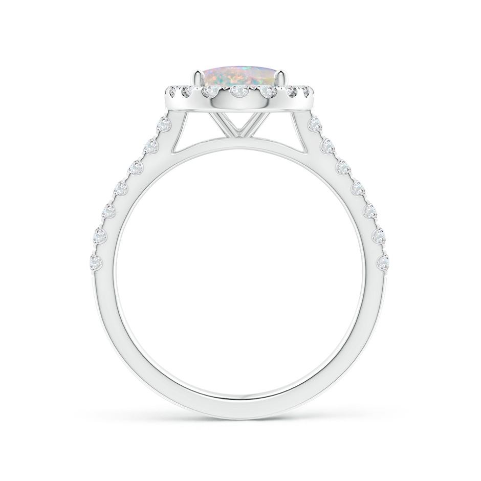 9x7mm AAAA Prong-Set Oval Opal Halo Ring with Diamond Accents in White Gold side 199