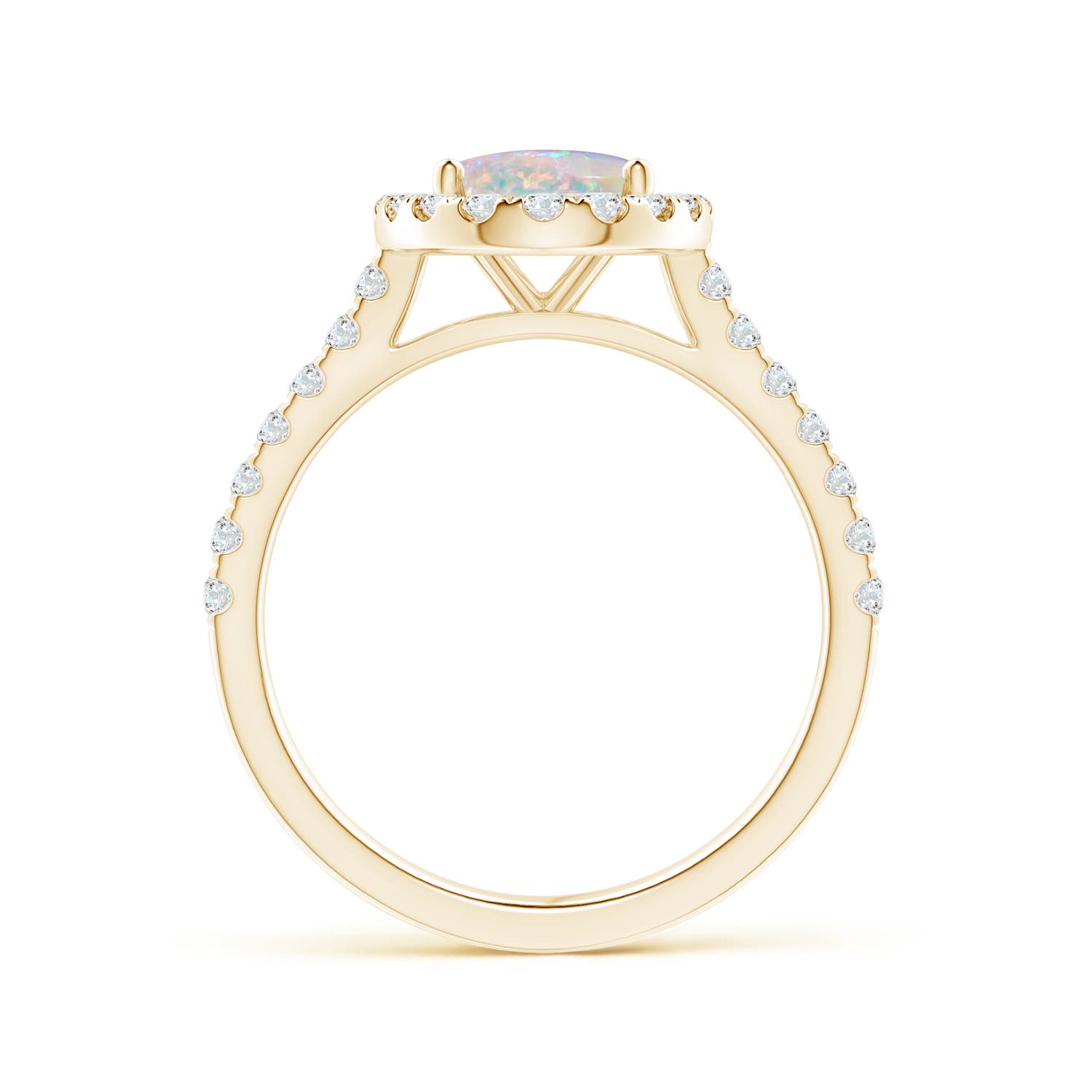 AAAA - Opal / 1.55 CT / 14 KT Yellow Gold