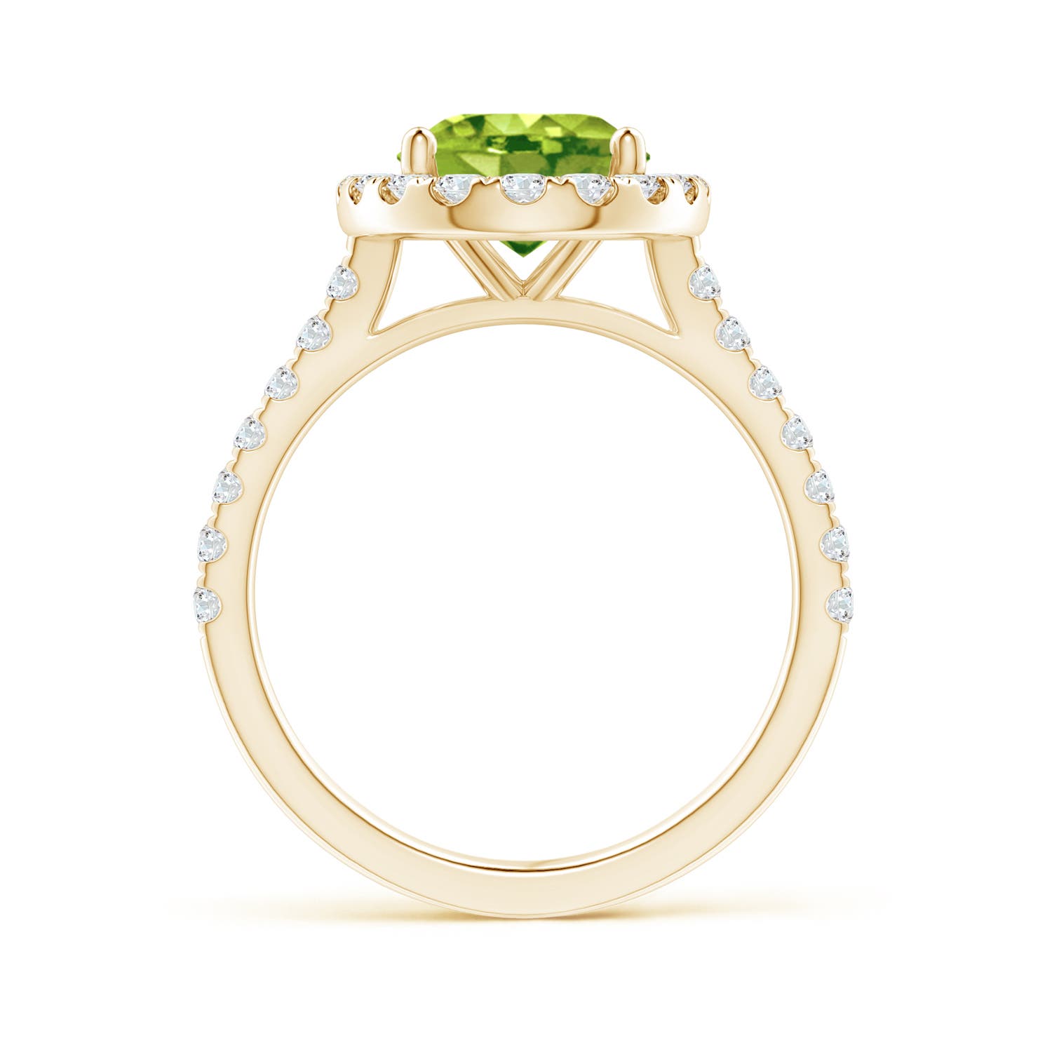 AAA - Peridot / 3.27 CT / 14 KT Yellow Gold