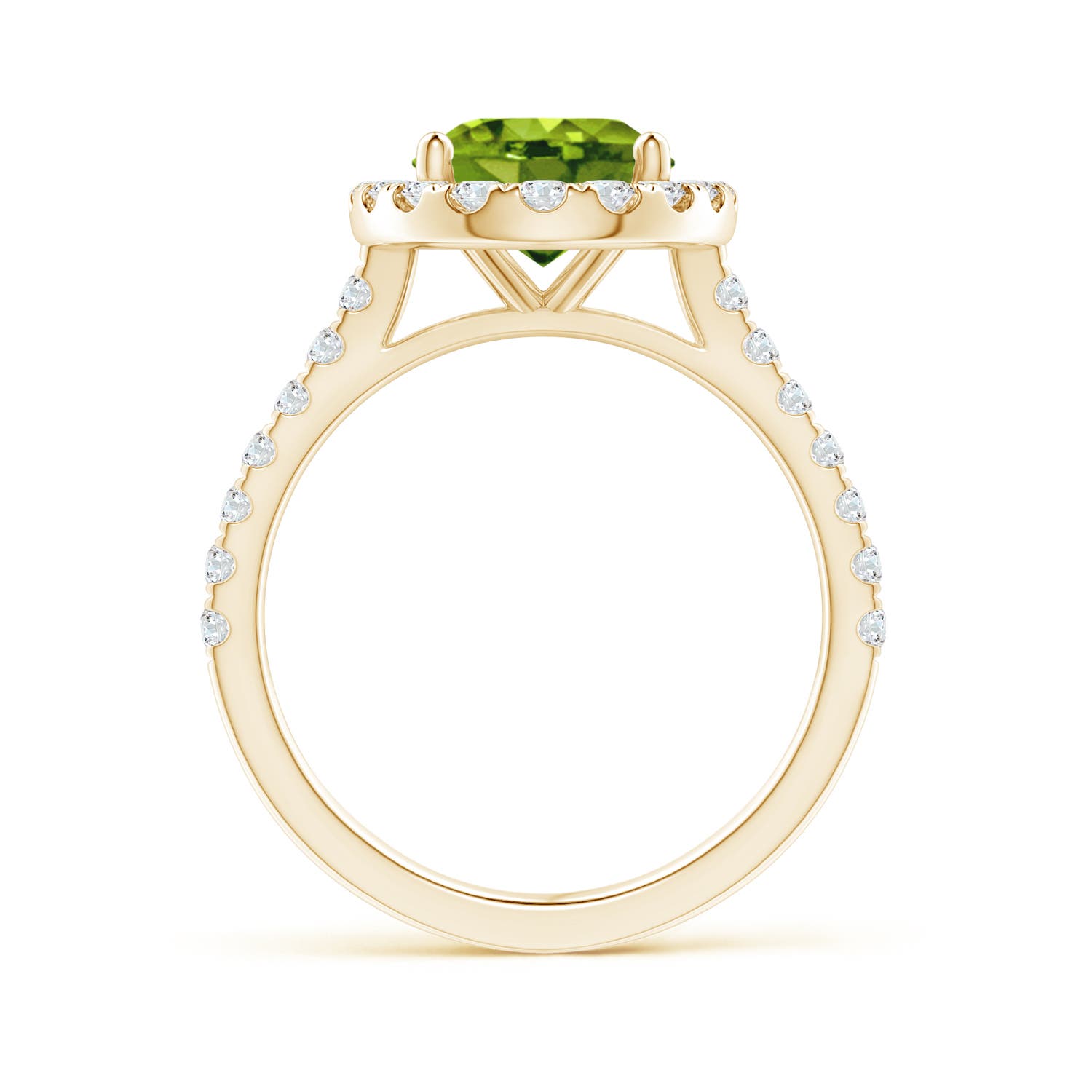 AAAA - Peridot / 3.27 CT / 14 KT Yellow Gold