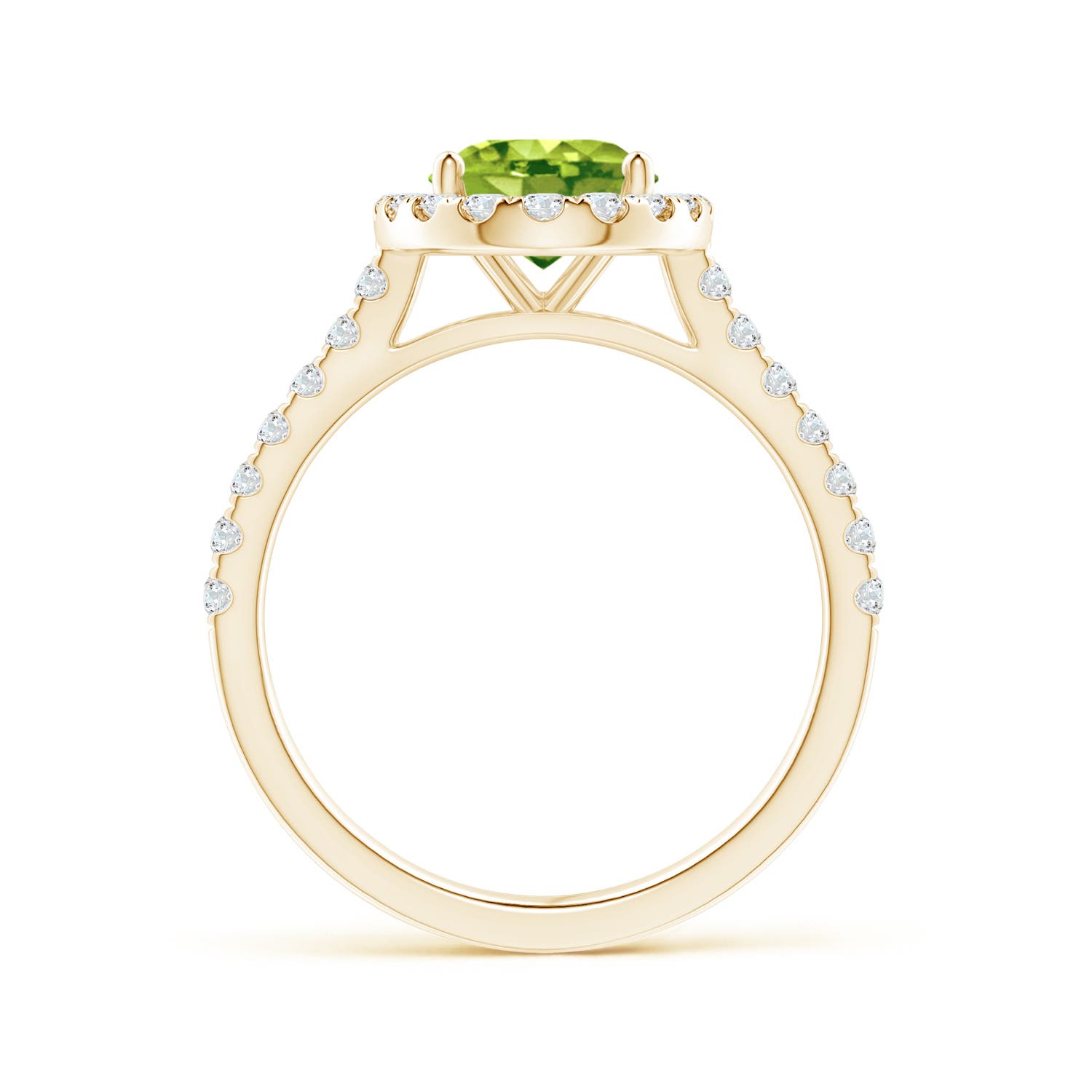 AAA - Peridot / 2.35 CT / 14 KT Yellow Gold