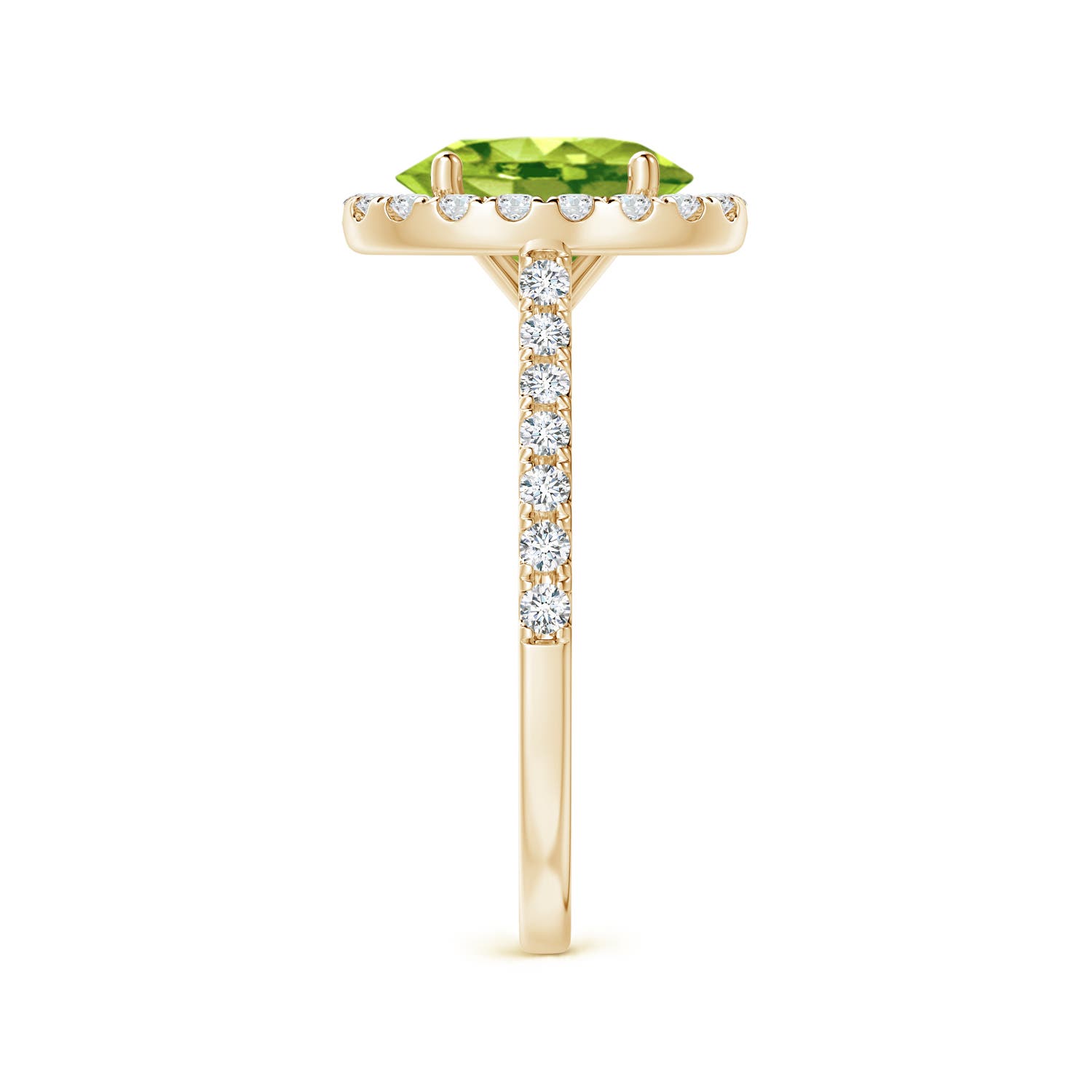 AAA - Peridot / 2.35 CT / 14 KT Yellow Gold