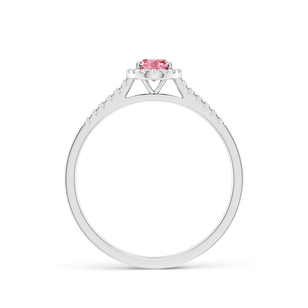 6x4mm AAAA Oval Fancy Intense Pink Diamond Halo Ring in P950 Platinum - side 199