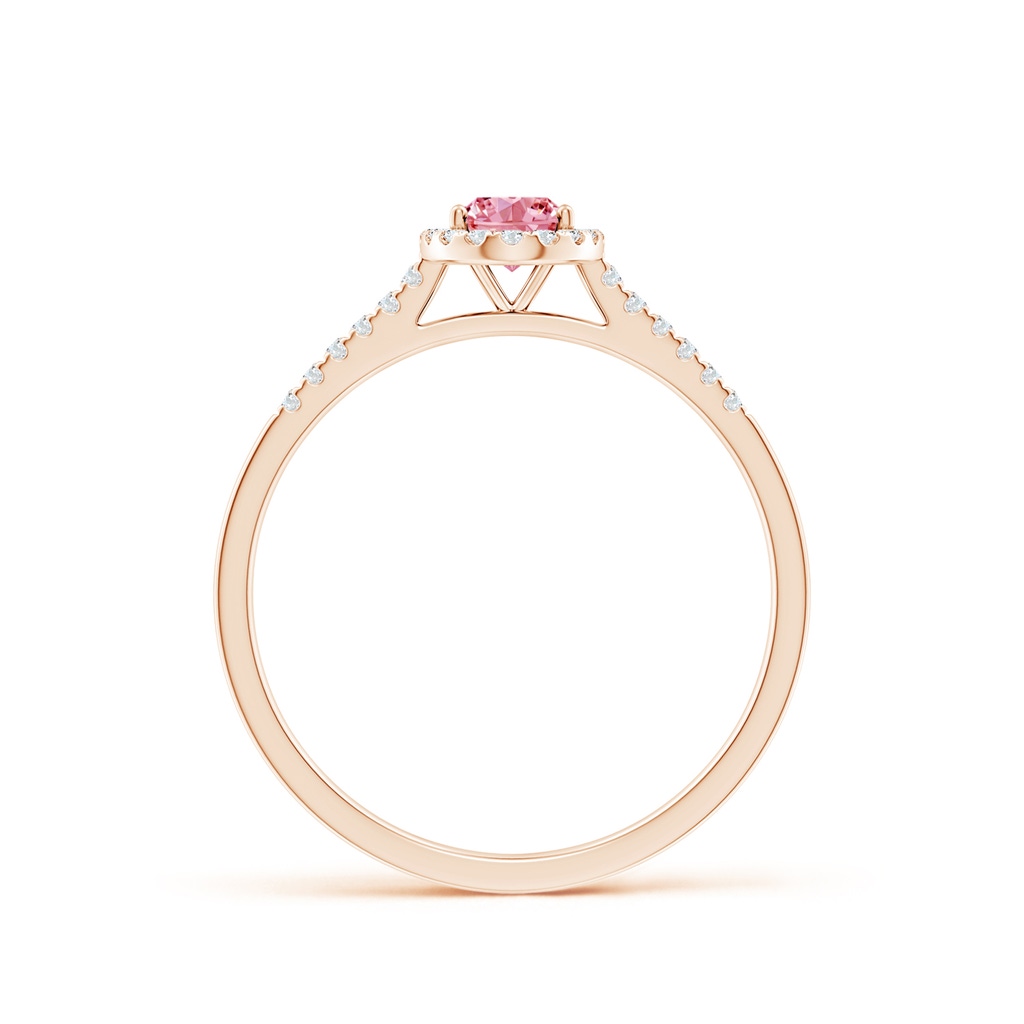 6x4mm AAAA Oval Fancy Intense Pink Diamond Halo Ring in Rose Gold - side 199