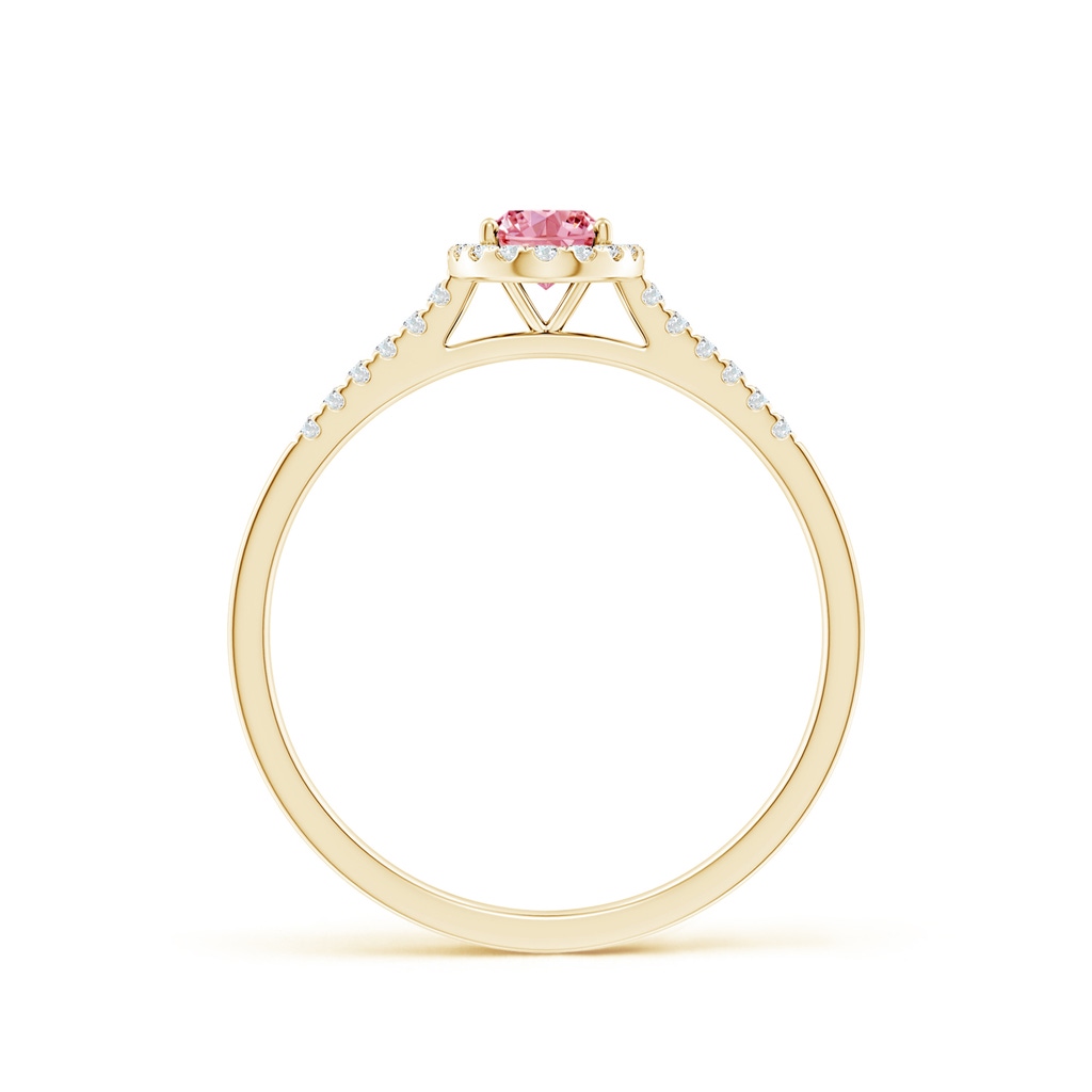 6x4mm AAAA Oval Fancy Intense Pink Diamond Halo Ring in Yellow Gold - side 199