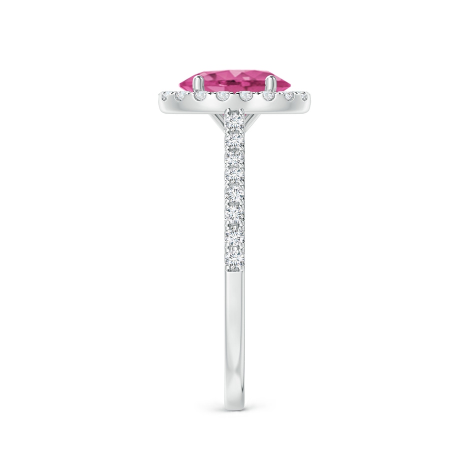8x6mm AAAA Oval Pink Sapphire Halo Ring with Diamond Accents in White Gold side 299